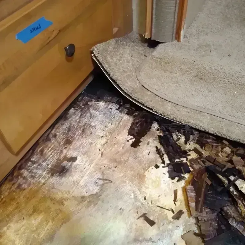 Wood Floor Water Damage in Kettering, OH